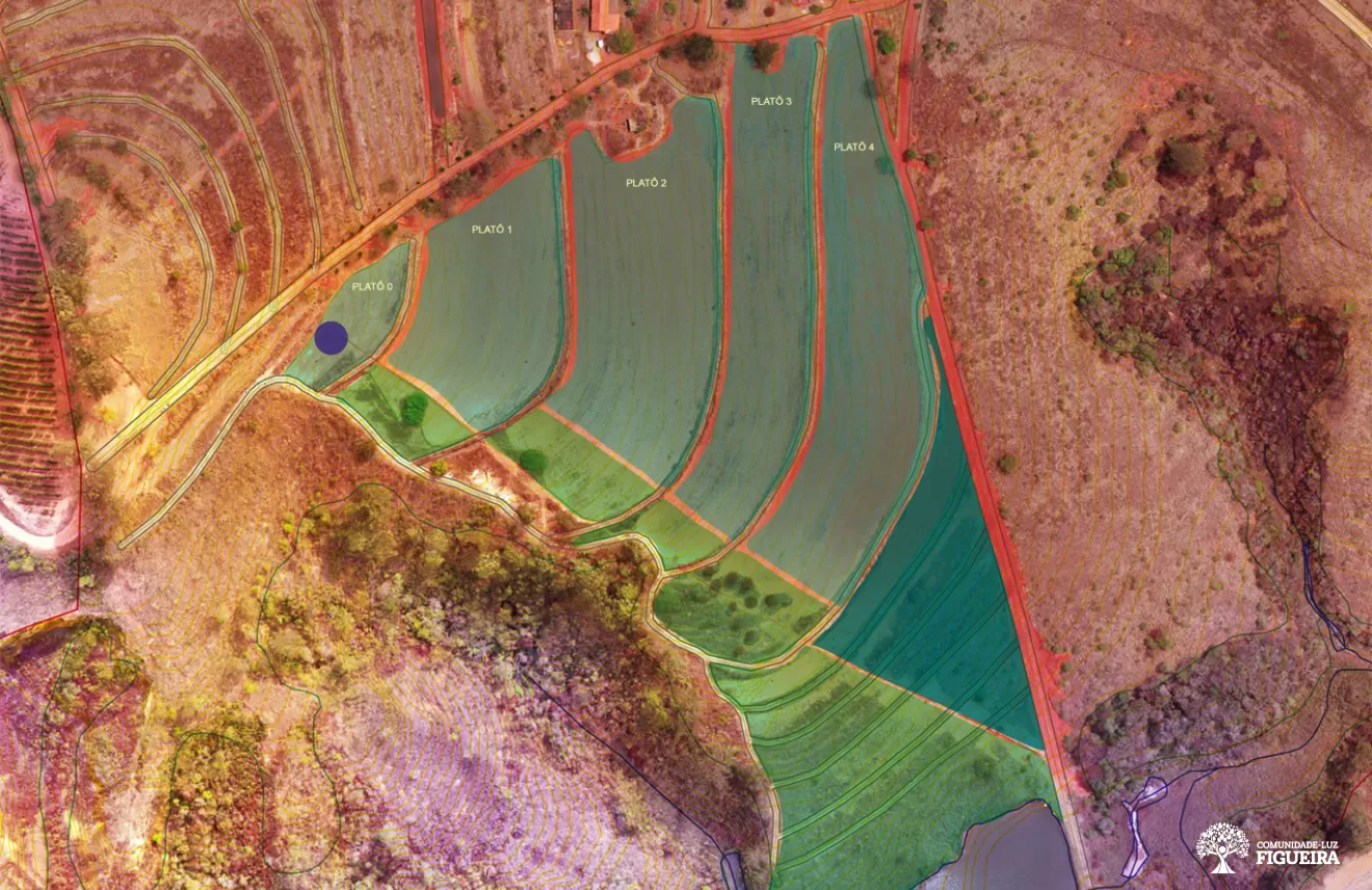 Foto B Áreas ou glebas com rotação de culturas e grãos - SAF 2 (detalhe).