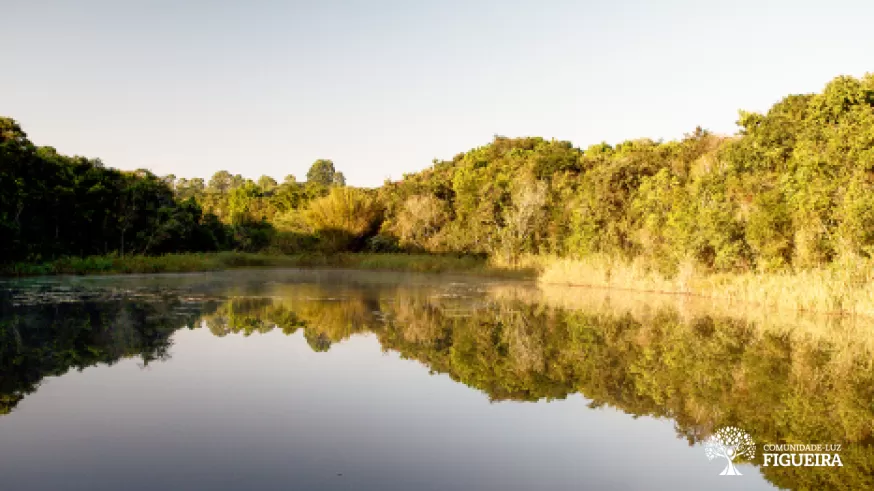Figueira Light-Community and the search for new paradigms in the relationship with water
