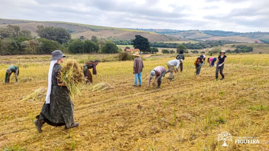 Plantation Sector´s Joint Effort in Lands of the Sun: an experience of fraternity