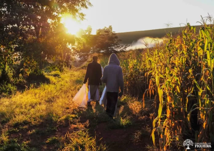 Agricultura regenerativa