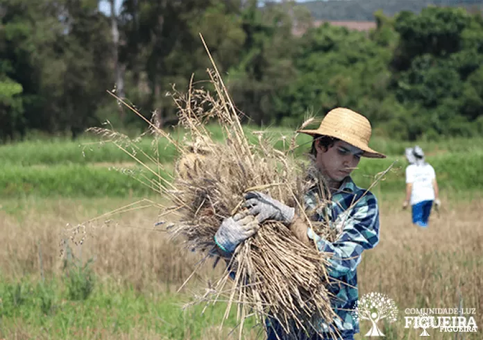 Agricultura sustentável